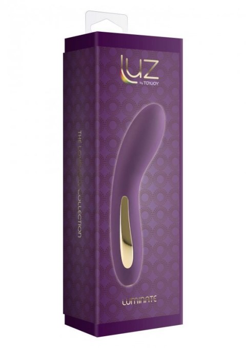 Luminate Vibrator Purple Luminate Vibrator Purple