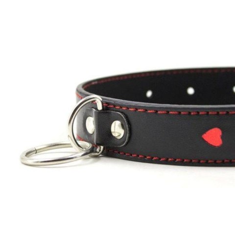 Easy Collar Leash black Easy Collar Leash black