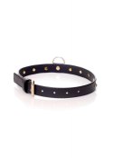 Fetish B - Series Collar - 2 cm turquoise crystal