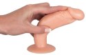 Anal Training Set Dildos