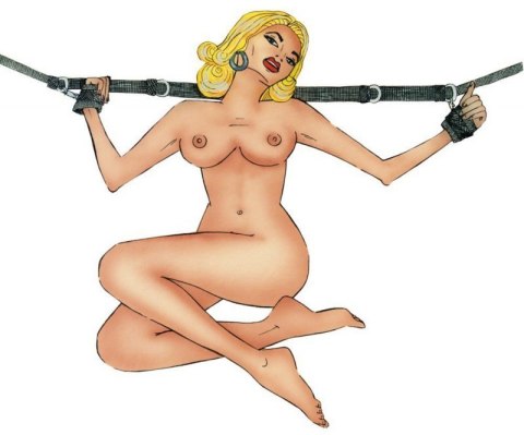 Bed Restraints Bed Restraints