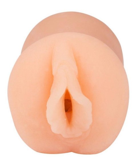 Pussy Aggie Pussy Aggie