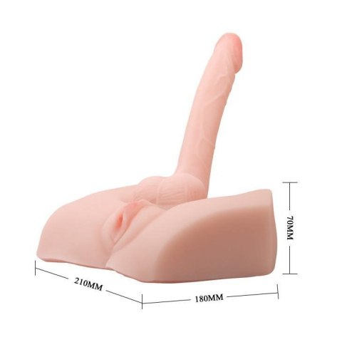 BAILE - Male Cock and Vagina BAILE - Male Cock and Vagina