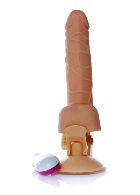 Wibrator-Mr. Perfect Vibration 12 functions Wibrator-Mr. Perfect Vibration 12 functions