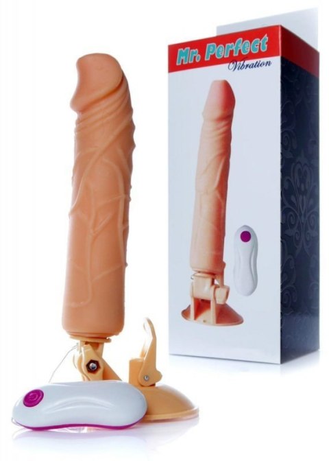 Wibrator-Mr. Perfect Vibration 12 functions Wibrator-Mr. Perfect Vibration 12 functions