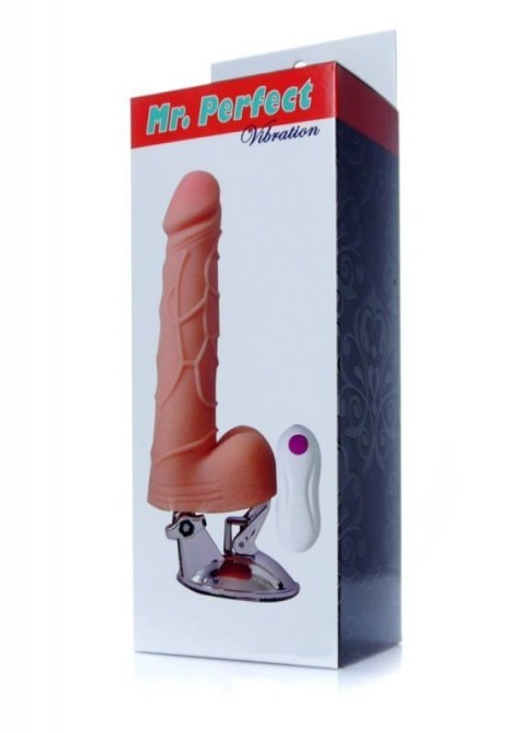 Wibrator-Mr. Perfect Vibration 12 functions Wibrator-Mr. Perfect Vibration 12 functions