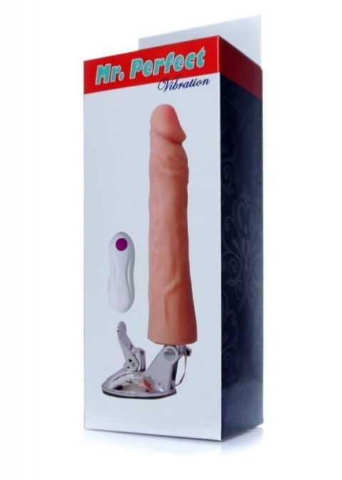 Wibrator-Mr. Perfect Vibration 12 functions Wibrator-Mr. Perfect Vibration 12 functions