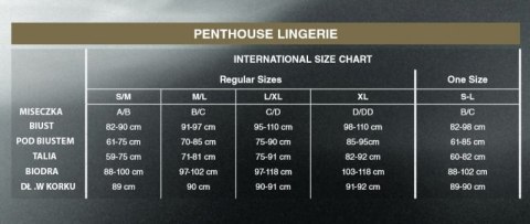 Bielizna-Perfect lover white S/M PENTHOUSE Bielizna-Perfect lover white S/M PENTHOUSE