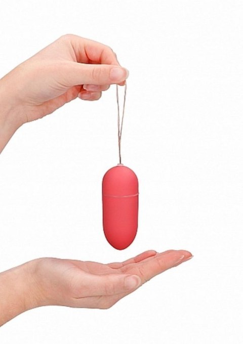 10 Speed Remote Vibrating Egg - Big - Pink 10 Speed Remote Vibrating Egg - Big - Pink
