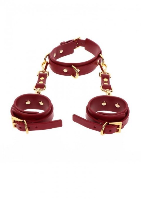 D-Ring Collar and Wrist Cuffs Red D-Ring Collar and Wrist Cuffs Red