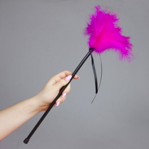 Plumero Plumas Fucsia Plumero Plumas Fucsia