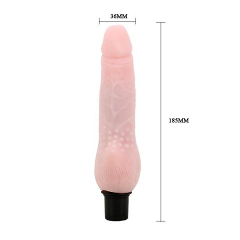 BAILE - The Realistic Cock, Vibration BAILE - The Realistic Cock, Vibration