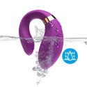 Crescent purple