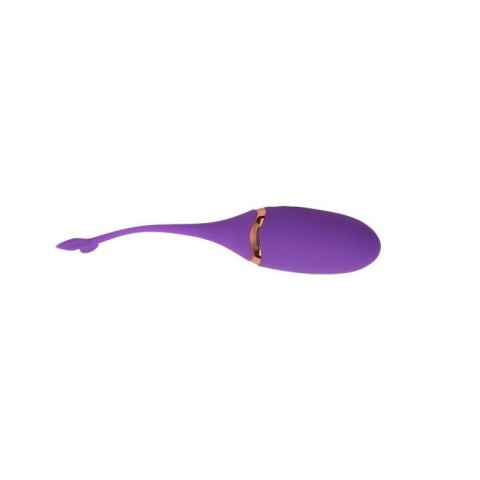 Beckoning Beats Bullet Vibrator Beckoning Beats Bullet Vibrator