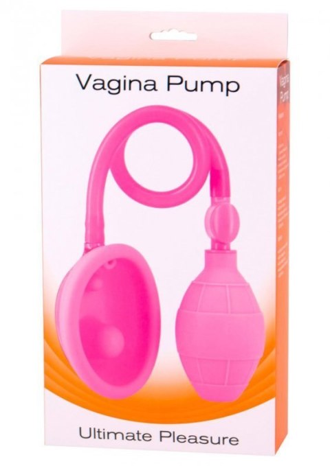 Vagina Pump Pink Vagina Pump Pink