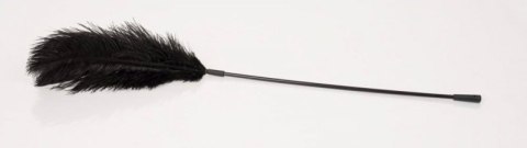 Black feather Bad Kitty Black feather Bad Kitty