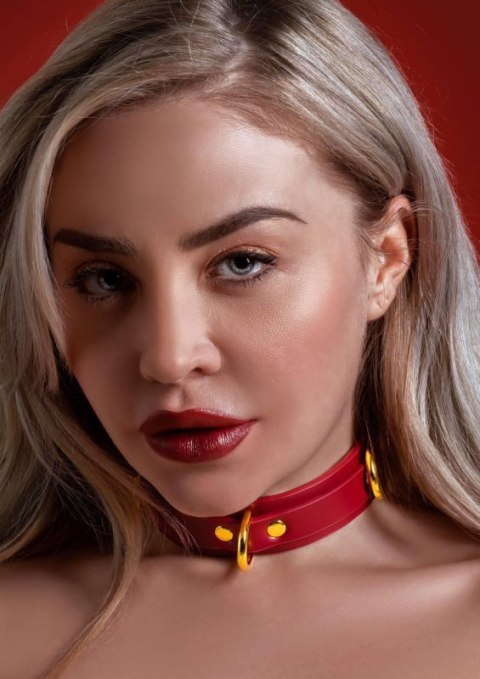 D-Ring Collar Deluxe Red D-Ring Collar Deluxe Red
