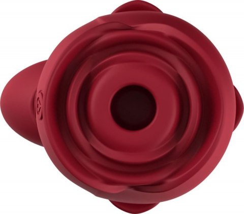 Stymulator- Blossom red Stymulator- Blossom red
