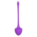 Virgo purple