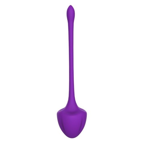 Virgo purple Virgo purple