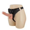 BAILE- ULTRA PASSIONATE HARNESS 7&#039;&#039;
