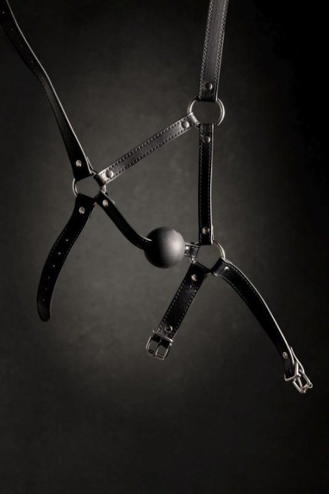 Head Harness with Solid Ball Gag - Black Head Harness with Solid Ball Gag - Black