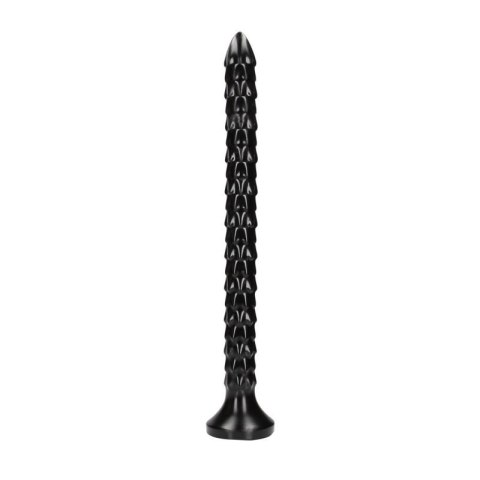 Scaled Anal Snake - 16''/ 40 cm Scaled Anal Snake - 16''/ 40 cm