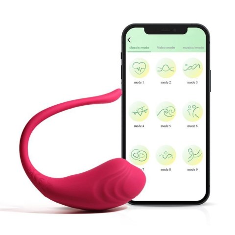 App love egg App love egg