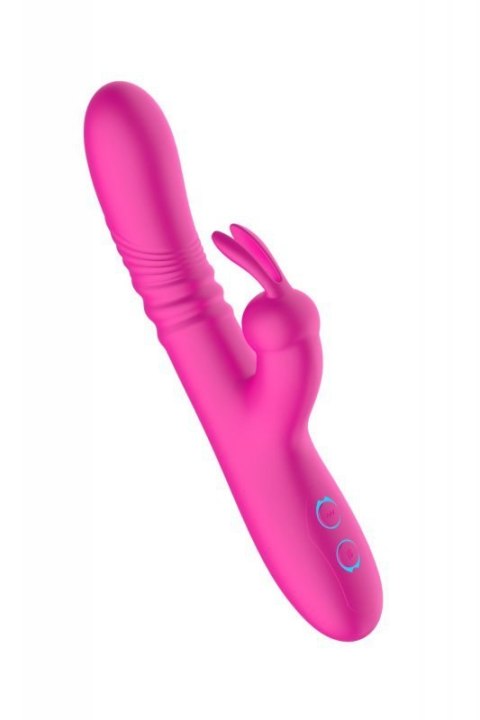 Rabbit vibrator Rabbit vibrator