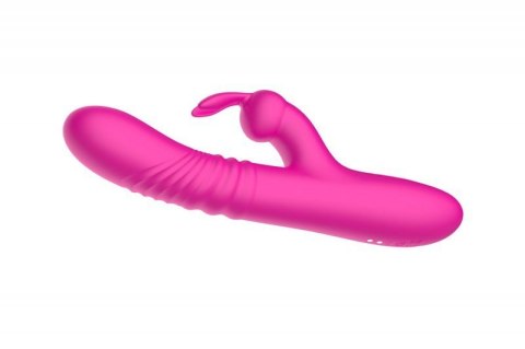 Rabbit vibrator Rabbit vibrator