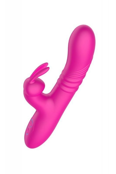 Rabbit vibrator Rabbit vibrator