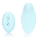 Panty Vibrator with Remote Control