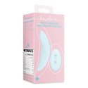 Panty Vibrator with Remote Control