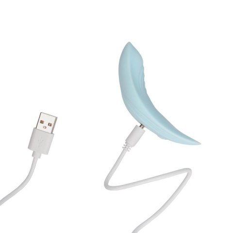 Panty Vibrator with Remote Control Panty Vibrator with Remote Control