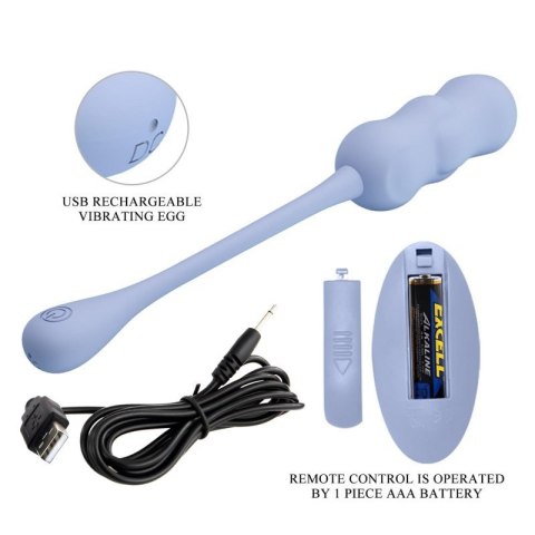 PRETTY LOVE - LESHY Dream Chaser 4, Blue, 12 vibration functions Wireless remote control PRETTY LOVE - LESHY Dream Chaser 4, Blue, 12 vibration functions Wireless remote control