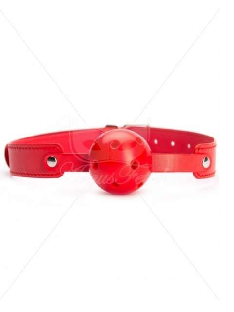 Red Breathable Ball Gag Red Breathable Ball Gag