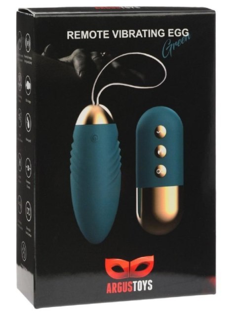 Remote Vibrating Egg Green Burst Remote Vibrating Egg Green Burst