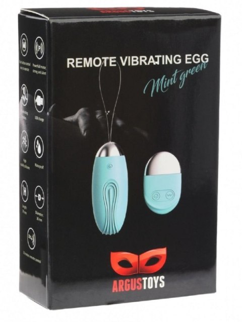 Remote Vibrating Egg Mint Green Remote Vibrating Egg Mint Green