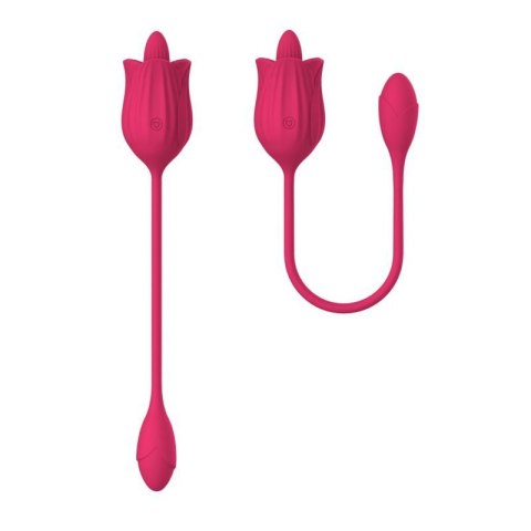 Stymulator - Licking massager with vibrating Egg USB 10 Functions Stymulator - Licking massager with vibrating Egg USB 10 Functions