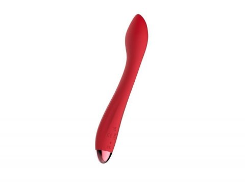 Wibrator - Rechargeable G Spot USB 10 Functions Wibrator - Rechargeable G Spot USB 10 Functions