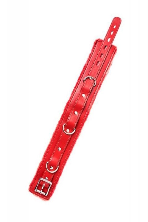 Anonymo collar, PU leather, red Anonymo collar, PU leather, red