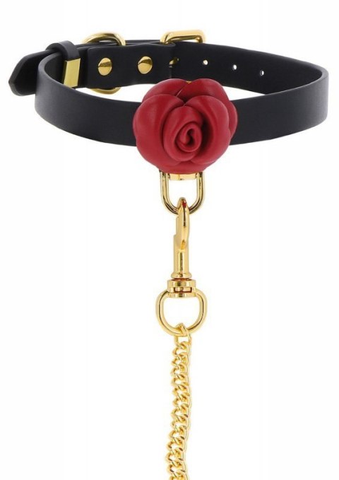 Wild Roses Collar & Leash Black Wild Roses Collar & Leash Black