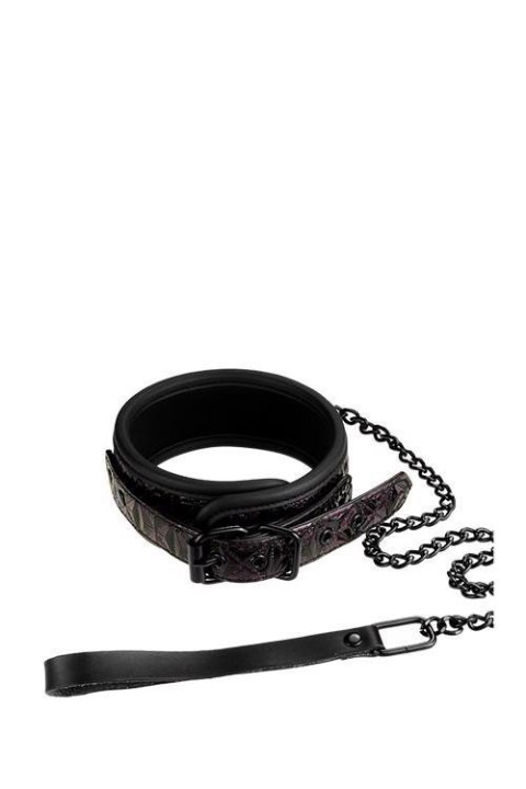 BLAZE COLLAR AND LEASH PURPLE Boss of toys BLAZE COLLAR AND LEASH PURPLE Boss of toys