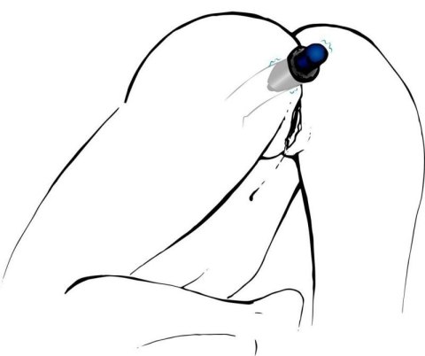 Lust Tunnel Plug M Lust Tunnel Plug M