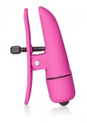 Nipplettes Pink