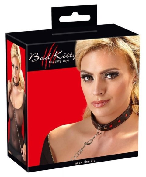 Collar and Leash Collar and Leash