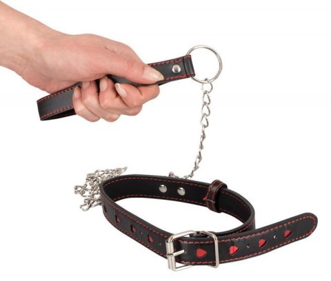 Collar and Leash Collar and Leash