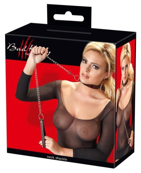 Collar and Leash Collar and Leash