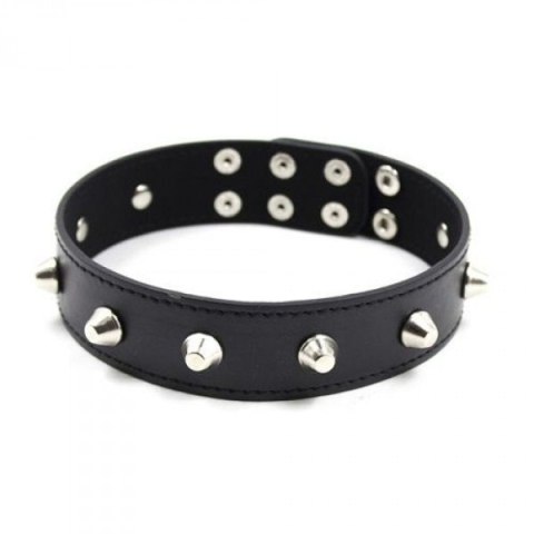 Wiązania-Collare Spikes Collar black Wiązania-Collare Spikes Collar black