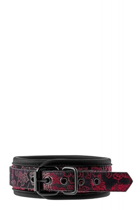 BLAZE DELUXE COLLAR & LEASH BLAZE DELUXE COLLAR & LEASH
